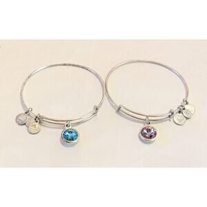 Lot Of 2 Alex And Ani Silver Tone Bangle Bracelets Blue Topaz & Amethyst Crystal